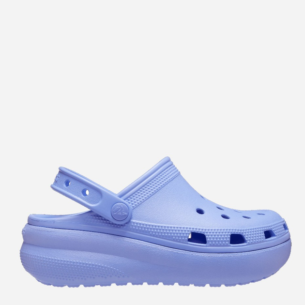 Chodaki dziecięce dla dziewczynki Crocs CR207708-DIVI 29-30 C12 Fioletowe (191448969834) - obraz 1