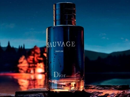 Духи для мужчин Christian Dior Sauvage 2019 100 мл (ROZ6400103807