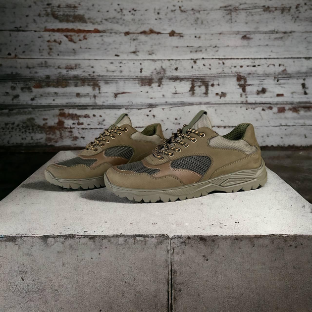 Тактичні кросівки пісок 3Д сітка олива Натуральна шкіра Win War 47 (31.5см) - зображення 1
