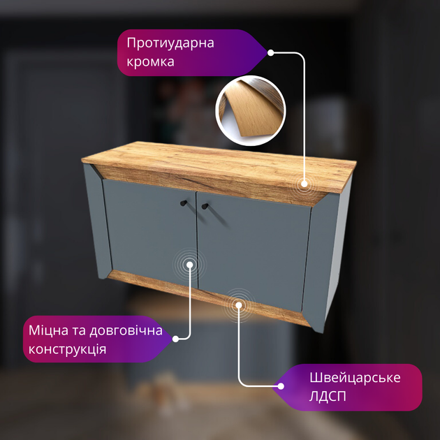 Тумба 2-х дверная закрытая Эверест Нордик-980 98х38х53 см Графит + Дуб крафт золотой (EVR-5526) - изображение 2