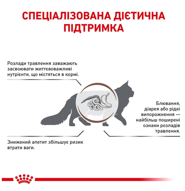 Сухой корм для котов Royal Canin Gastro Intestinal 2 кг 39050201 - изображение 3