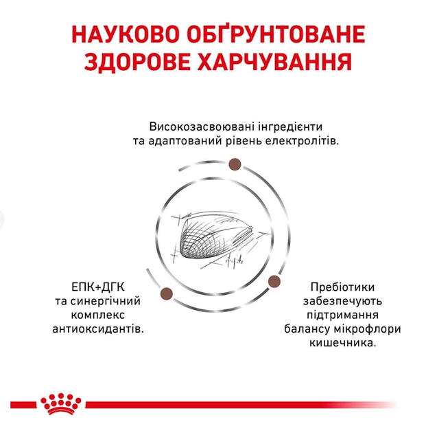Сухой корм для котов Royal Canin Gastro Intestinal 2 кг 39050201 - изображение 4