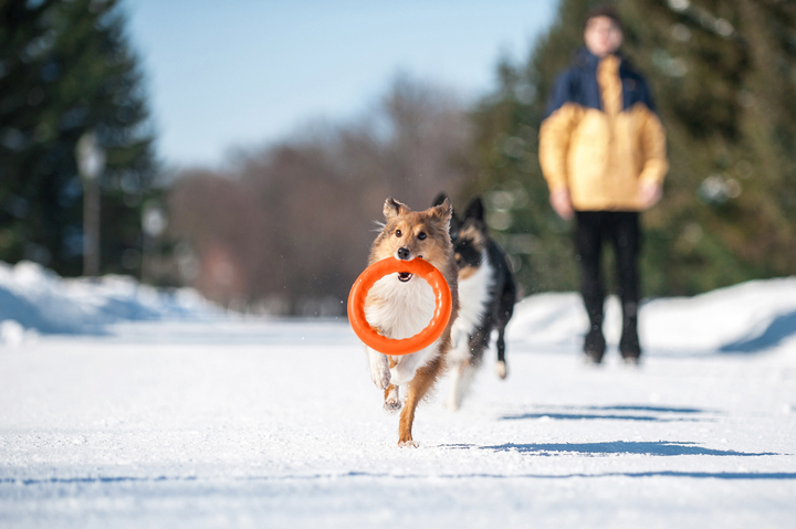 Кільце для апортування Pitch Dog 28 см Помаранчеве (4823089361444) - зображення 10