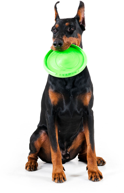 Іграшка для собак Collar Flyber Літаюча тарілка 22 см Салатова (4823089304731) - зображення 8