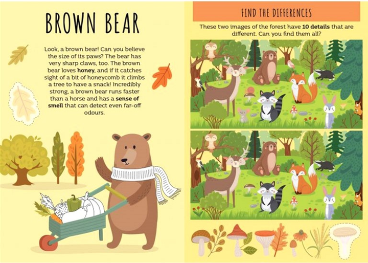 Настільна гра Sassi Junior Card Games The Seven Families The Woods (версія англійська) (9788830313026) - зображення 3