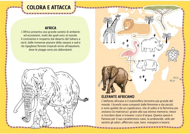 My First Arts & Crafts Activities Animals - I.Trevisan, G. Meneguzzo, M. Gaule (wersja włoska) (9788830310599) - obraz 4