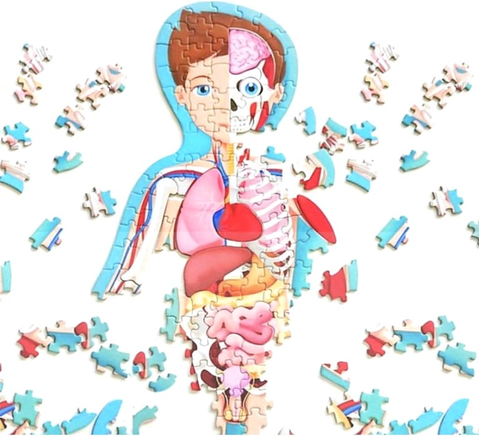Sassi Travel Know Explore The Human Body - Matthew Gaule (wersja włoska) (9788868607449) - obraz 6