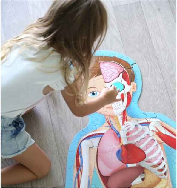 Sassi Travel Know Explore The Human Body - Matthew Gaule (wersja włoska) (9788868607449) - obraz 8
