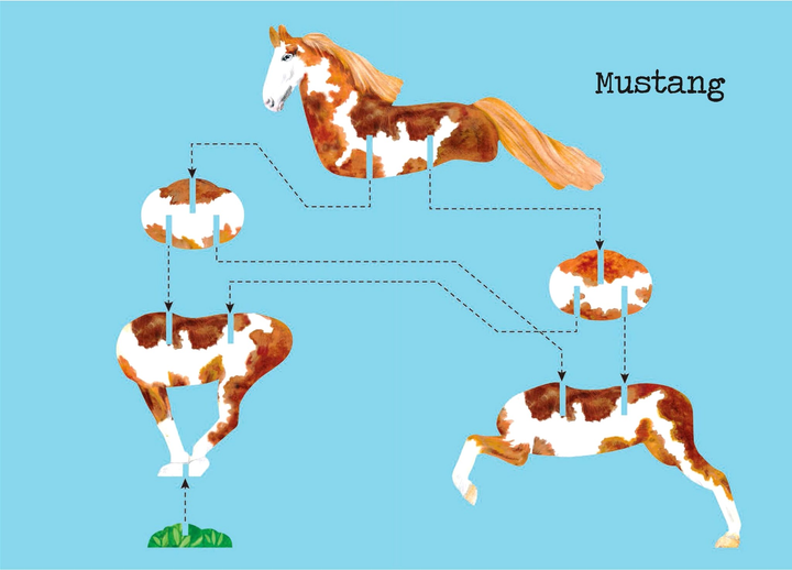 3D Пазл Nuinui Build Horses 17 x 25 см (9782889354290) - зображення 3