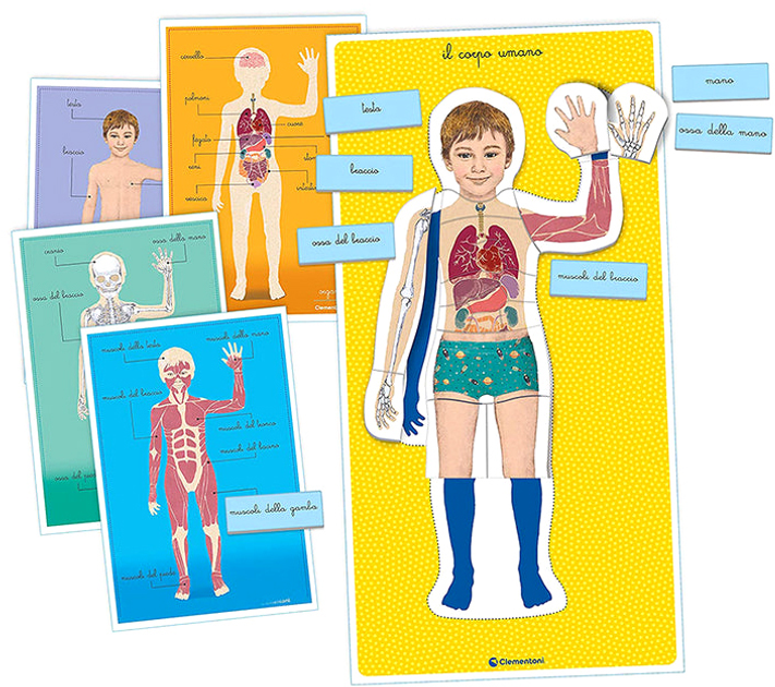 Gra planszowa Clementoni Montessori The Human Body (8005125163731) - obraz 2