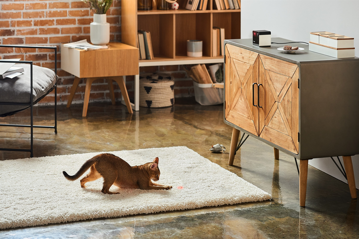 Компактна HD-камера Petcube Play 2 (PP20US) - зображення 3