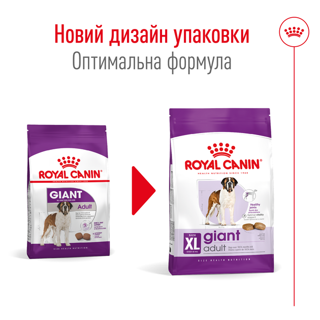 Сухой корм для собак гигантских пород Royal Canin Giant Adult , 15 кг - Фото 2 Сухой корм для собак гигантских пород Royal Canin Giant Adult , 15 кг - изображение 2