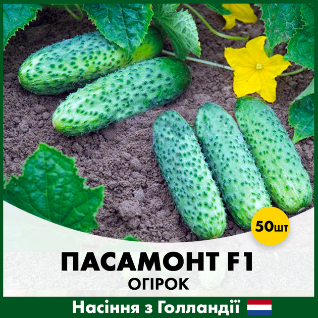 Голландские семена Syngenta Огурец Пасамонте F1 50 шт - Фото 2 Голландские семена Syngenta Огурец Пасамонте F1 50 шт - изображение 2