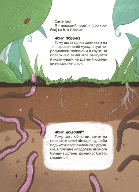 Дивовижні перетворення. Ким працюють рослини (9786170042415) - зображення 6
