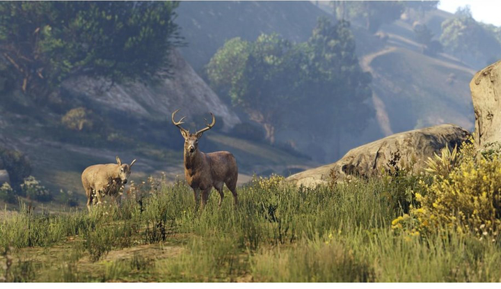 Гра PS4 Grand Theft Auto V GTA 5 Premium Edition (диск Blu-ray, PlayStation Store) (5026555424271) - зображення 8