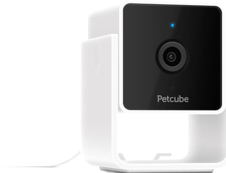 Interaktywny kompleks rozrywkowy Petcube Cam (0854592007394) - obraz 1