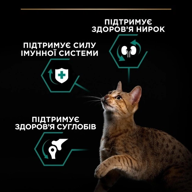 Сухий корм PRO PLAN Adult 1+ Renal Plus з тріскою з куркою для дорослих котів 1,5 кг - зображення 3