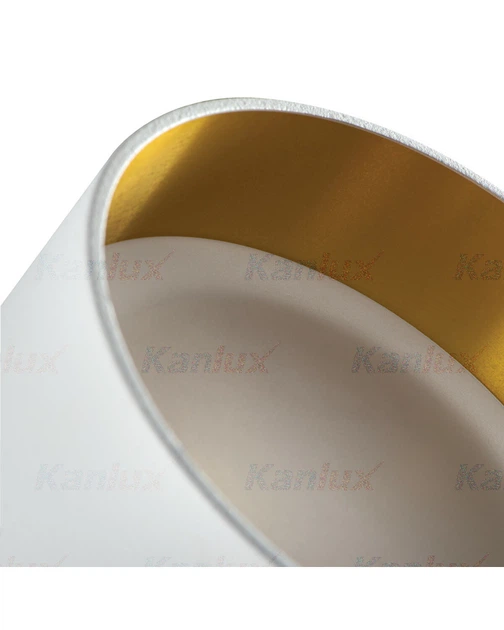 Точковий світильник Kanlux 29231 Govik GX5.3/GU10 1x10W IP20 - зображення 3
