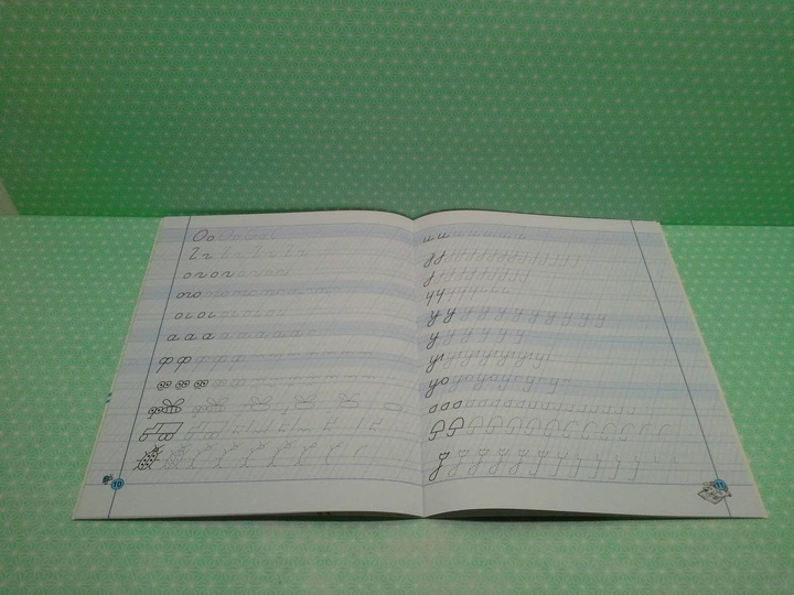 Майже прописи у косу лінію, 5+. Василь Федієнко, Школа - зображення 3