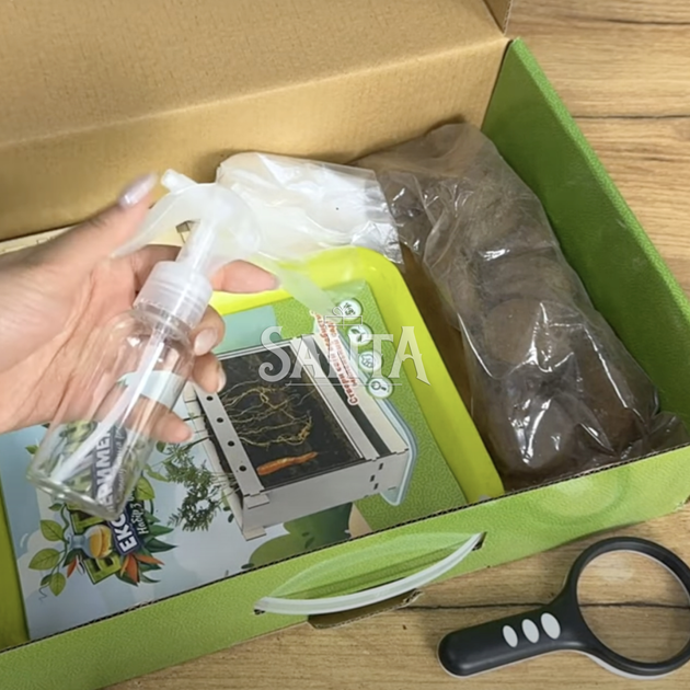 Набір юного садівника ботанічні експерименти 4FUN Game Club грунт бокс рукавички клей садові інструменти термометр таблички насіння 35*9*26см (70228) - зображення 5