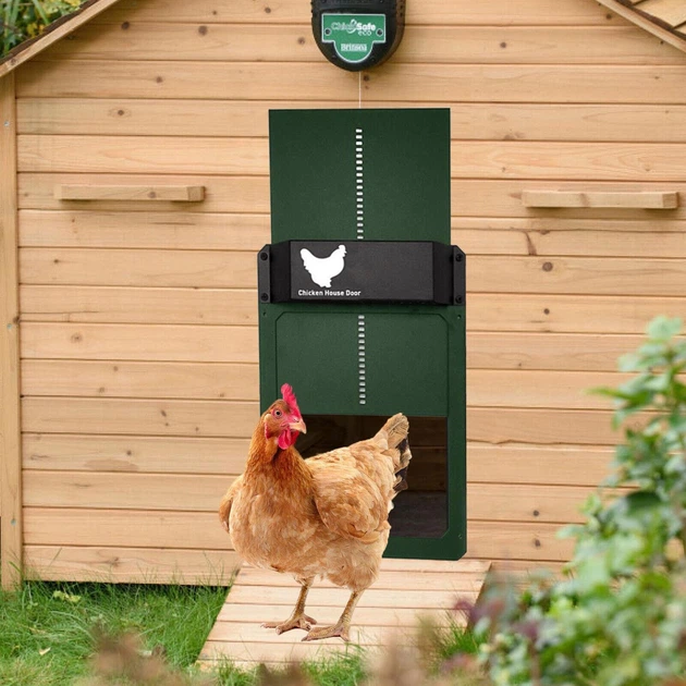 Автоматические двери для курятника Chicken House светочувствительные ворота для сельскохозяйственных животных / птиц от хищников, зеленый "P" (85736885) - изображение 6