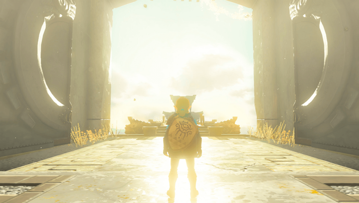 Игра Nintendo Switch The Legend of Zelda: Tears of the Kingdom Collector's Edition Русская Озвучка Б/У - изображение 3