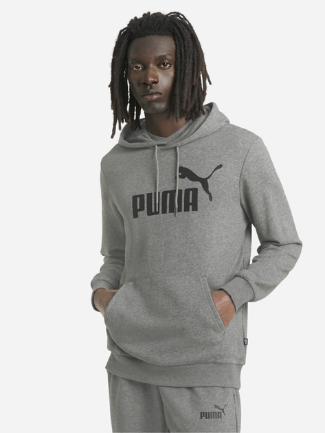 Bluza z kapturem męska Puma Ess Big Logo Hoodie Tr 58668803 L Szara (4063697318564) - obraz 1