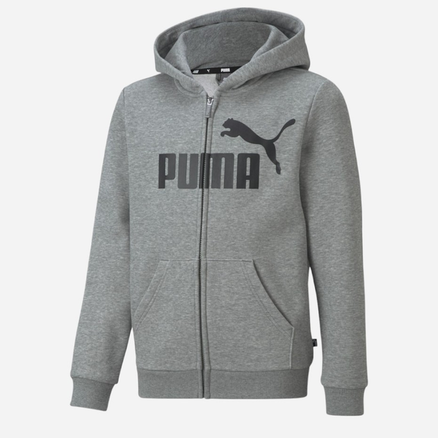 Młodzieżowa bluza rozpinana chłopięca Puma Ess Big Logo Fz Hoodie Tr B 586968-03 176 cm Szara (4063697293694) - obraz 1