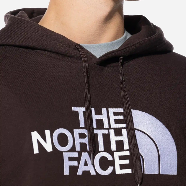 Худі оверсайз чоловіче The North Face Drew Peak Hoodie NF00AHJYI0I M Корчневе (196573595880) - зображення 3