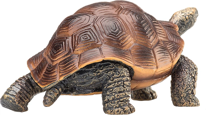 Figurka Mojo Animal Planet Giant Tortoise Large 3.5 cm (5031923872592) - obraz 5