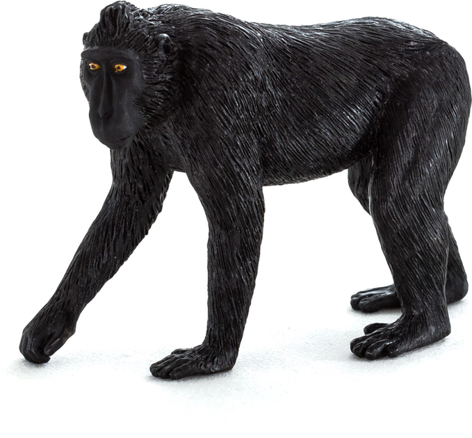 Фігурка Mojo Wildlife Black Crested Macaque 6 см (5031923871823) - зображення 1