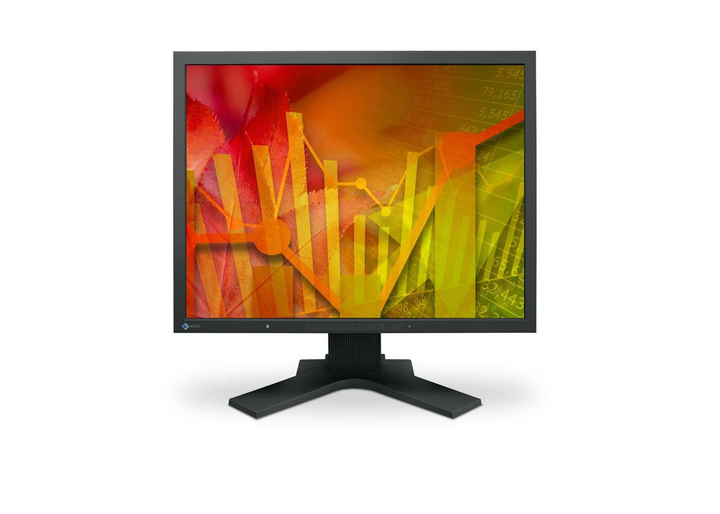 РК монітор Eizo S2133 - изображение 1