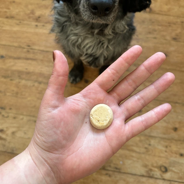 Печиво для собак Beco Pets Куряча печінка з пастернаком і медом 60 г (BFTR-CHICK) - Фото 3 Печиво для собак Beco Pets Куряча печінка з пастернаком і медом 60 г (BFTR-CHICK) - зображення 3