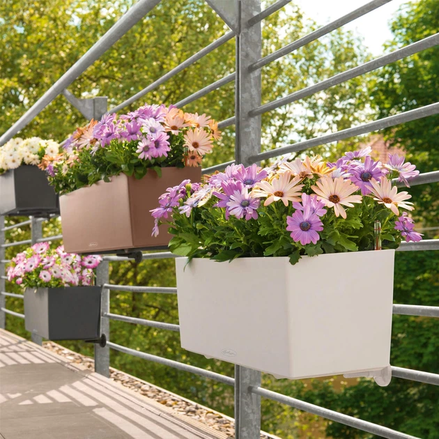 Умный вазон Lechuza Balconera Color 80 Мускат (15684) - Фото 9 Умный вазон Lechuza Balconera Color 80 Мускат (15684) - изображение 9