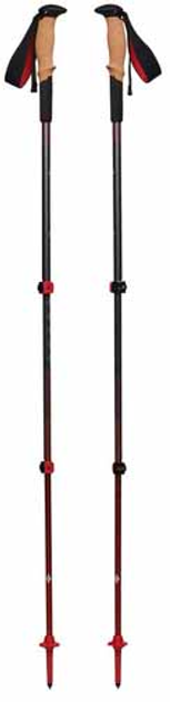 Kije trekkingowe Black Diamond Pursuit Shock S/M szare/czerwone 1 para 110-125 cm (1879409) - obraz 2