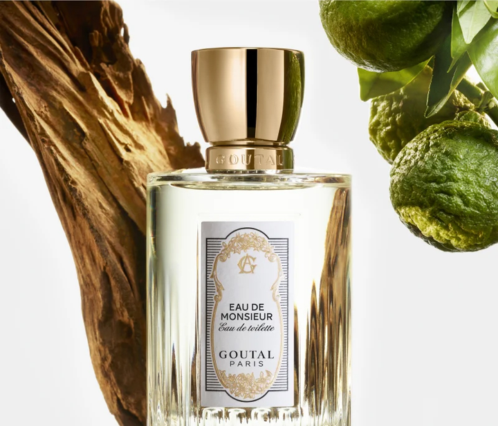 Туалетна вода для чоловіків Goutal Paris De Monsieur 100 мл (711367109762) - зображення 4