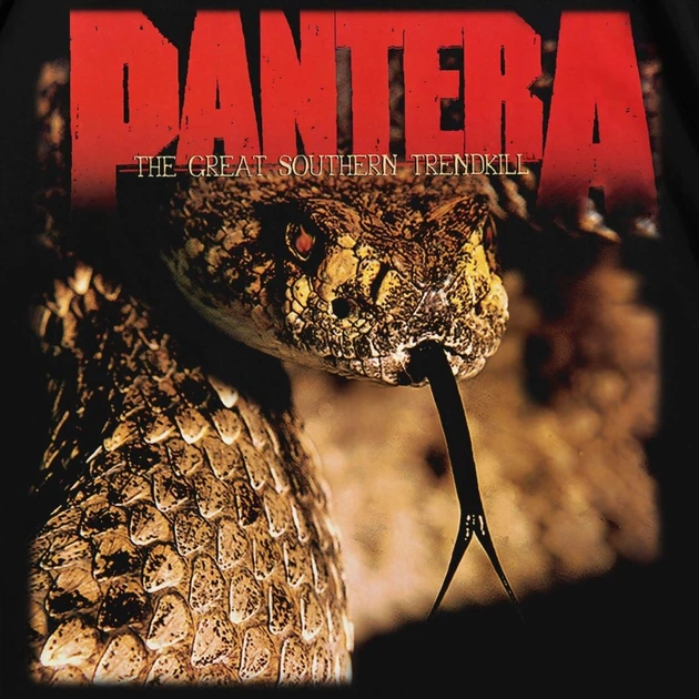 Футболка с принтом Pantera The Great Southern Trendkill L Черный Ф Pan002-Ч L - изображение 2