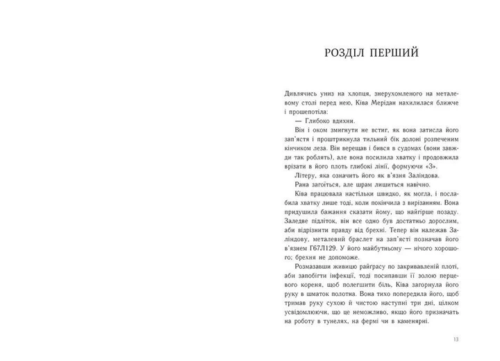 Тюремна цілителька. Книга 1. Ноні Лінет - зображення 5