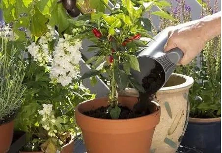 Комплект садових інструментів Gardena Classic Ergo (арт.8950, 8754, 11511) з ковшем (08966-30.000.00) - зображення 6