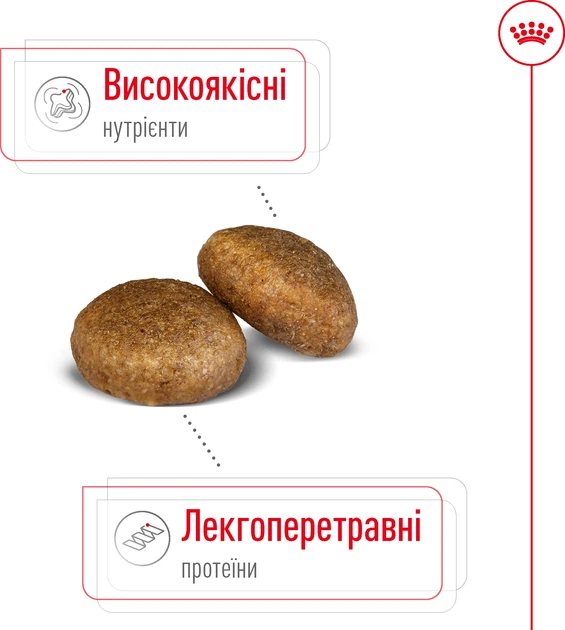 Сухой корм для собак Royal Canin Maxi Adult крупных пород от 15 месяцев 4 кг (30070400) (3182551055917) - изображение 4