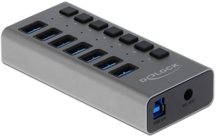 USB Hub Delock External Hub with 7 Ports + Switch Grey (4043619636693) - obraz 1