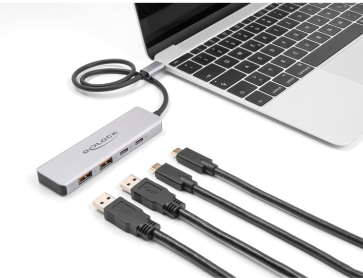 USB-хаб Delock USB 10 Gbps USB Type-C Hub with 2 x USB Type-A and 2 x USB Type-C Grey (4043619642304) - зображення 3