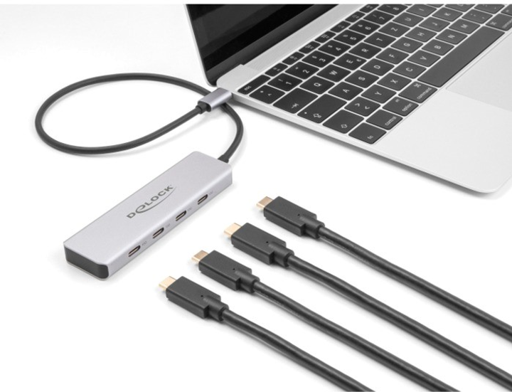 USB Hub Delock USB 10 Gbps USB Type-C Hub with 4 x USB Type-C Grey (4043619642311) - obraz 3