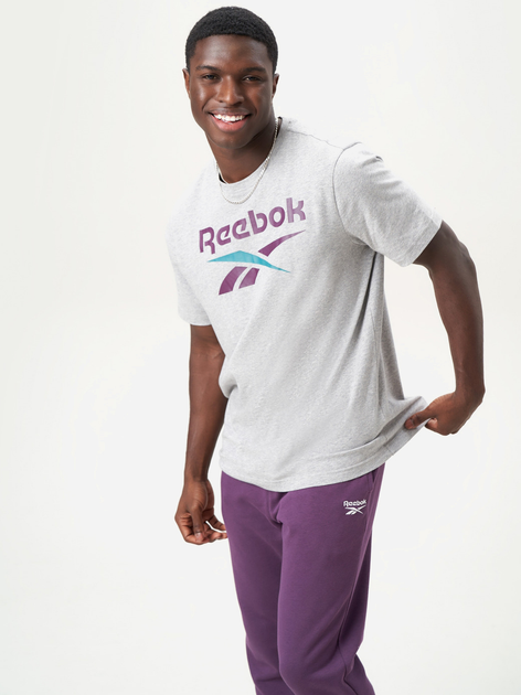 Футболка бавовняна чоловіча Reebok Identity Big Logo Tee 100206031 M Сіра (1200143952894) - зображення 1