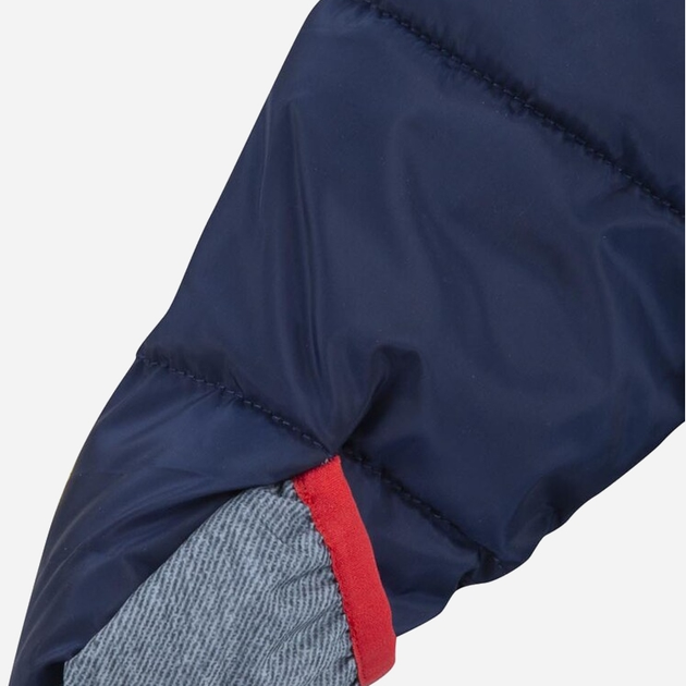 Дитячий демісезонний суцільний комбінезон Levi's 6EF977-BCF 9M 74 см Синій (3665115860955) - зображення 4