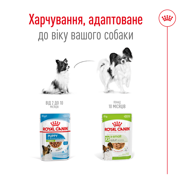 Упаковка вологого корму для дорослих собак мініатюрних розмірів Royal Canin X-Small Adult шматочки в соусі 0.085 кг х 12 шт. (9003579028964) (9003579028957) (8033010) - Фото 5 Упаковка вологого корму для дорослих собак мініатюрних розмірів Royal Canin X-Small Adult шматочки в соусі 0.085 кг х 12 шт. (9003579028964) (9003579028957) (8033010) - изображение 5