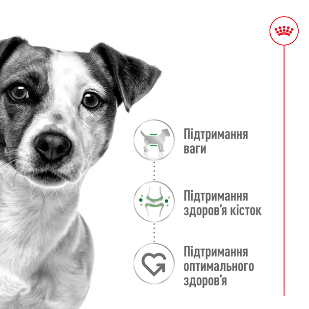 Консервы для собак малых пород Royal Canin Adult Mini в соусе, 85 г - изображение 5