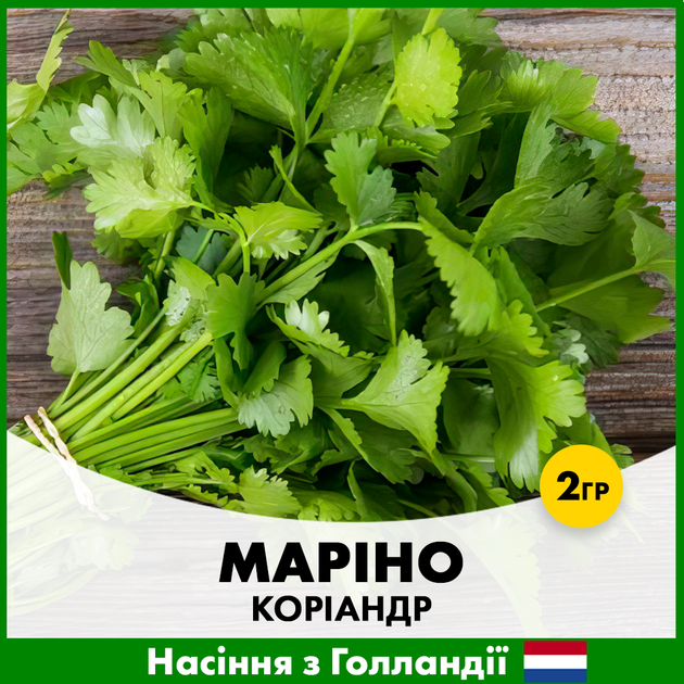Коріандр Enza Zaden Маріно, 2 гр - Фото 1 Коріандр Enza Zaden Маріно, 2 гр - зображення 1
