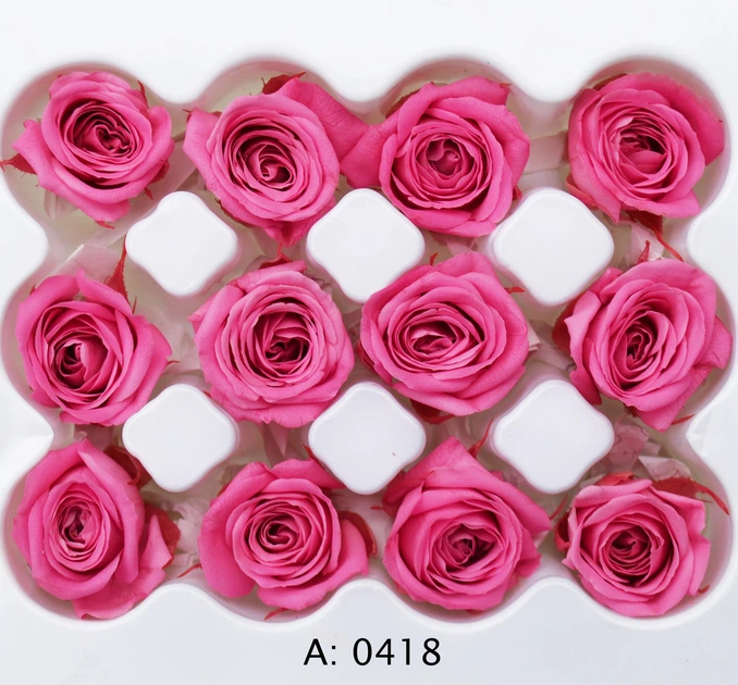 Рози стабілізовані рожеві міні Verona Pink, R418 – купити