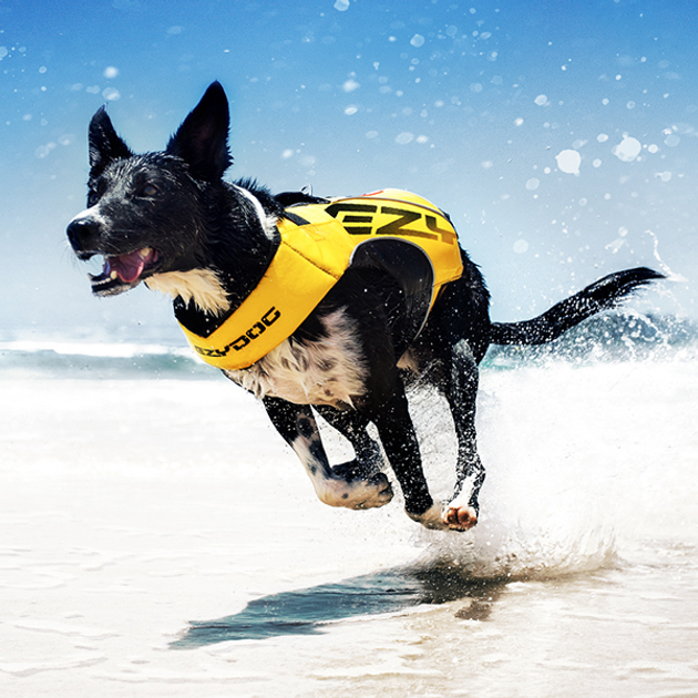 Kamizelka Ezydog Life Jacket DFD X2 Boost XL 41 kg Yellow (9346036005383) - obraz 6